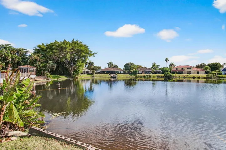 Tranquil Lake Views