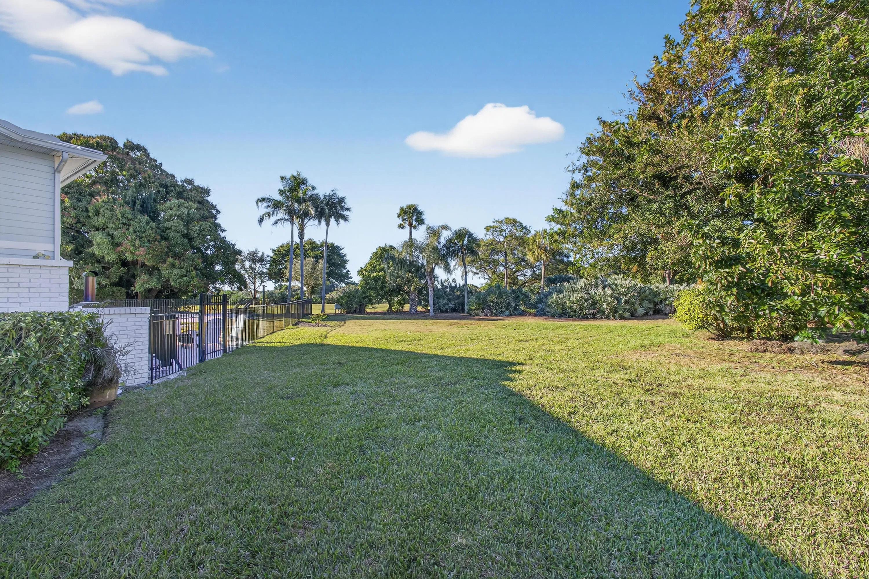 Oversized Backyard