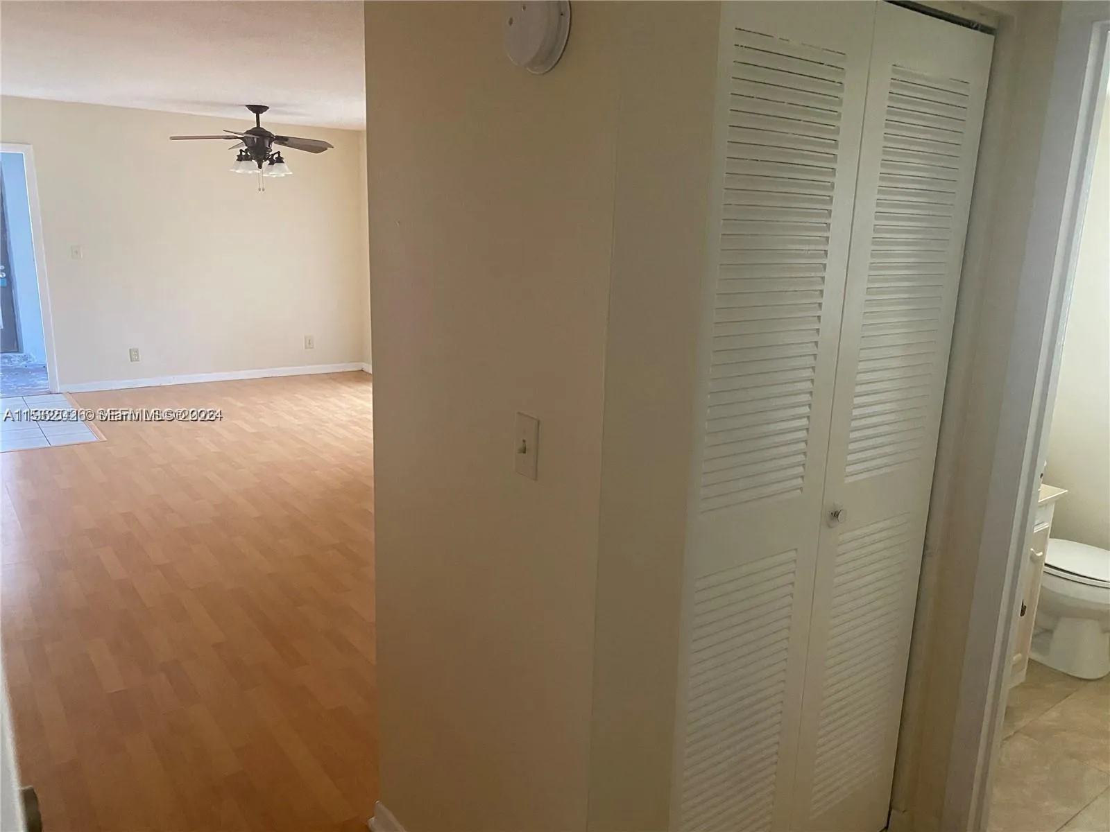 Hallway Closet