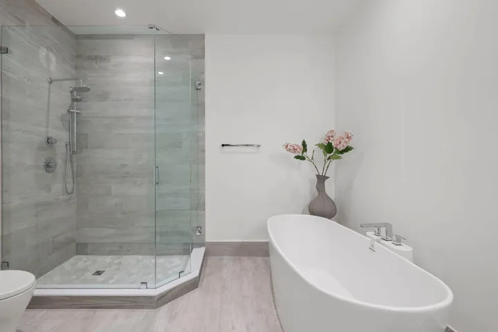 Large shower plus separate free standing bathing tub