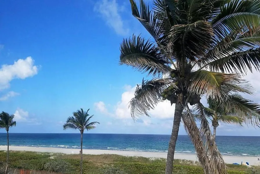 Beach Front Palms