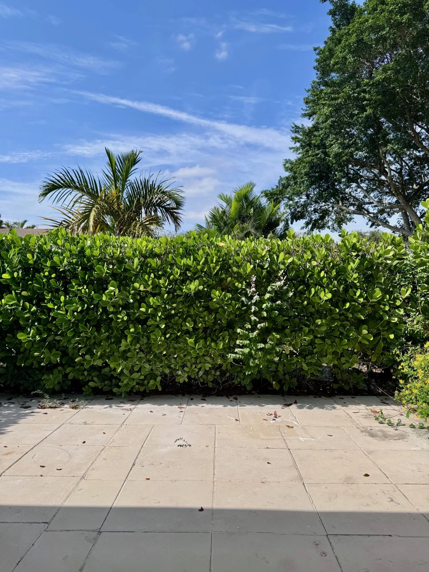 patio