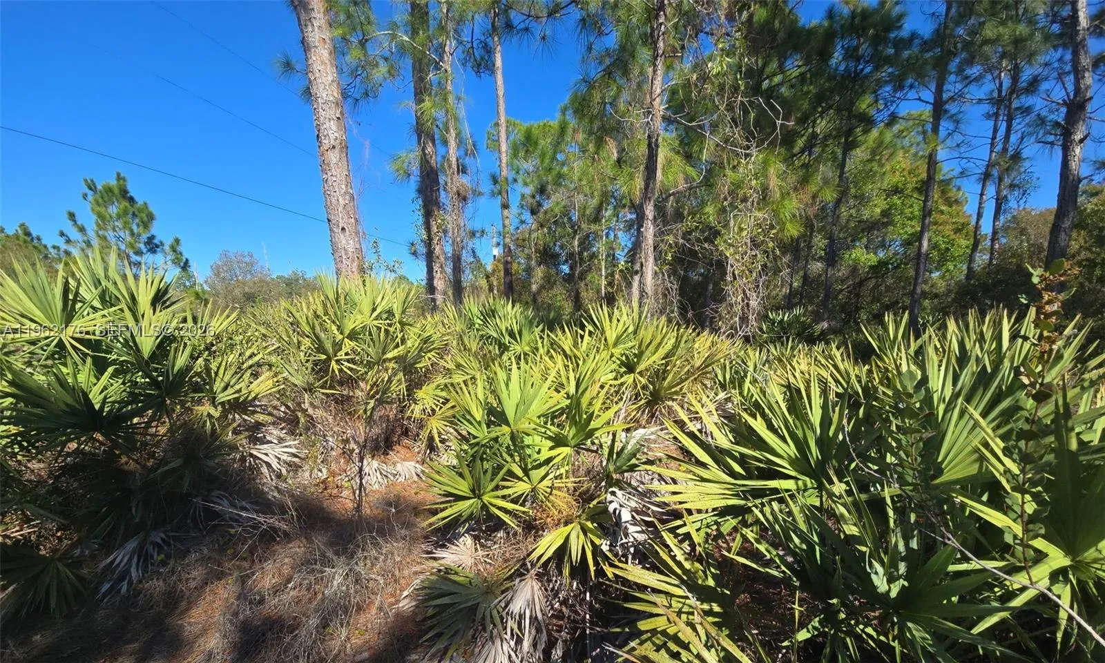 Property photo 16