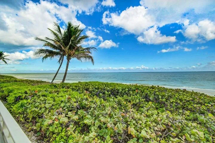 3221 S Ocean Boulevard 207,photo (45)