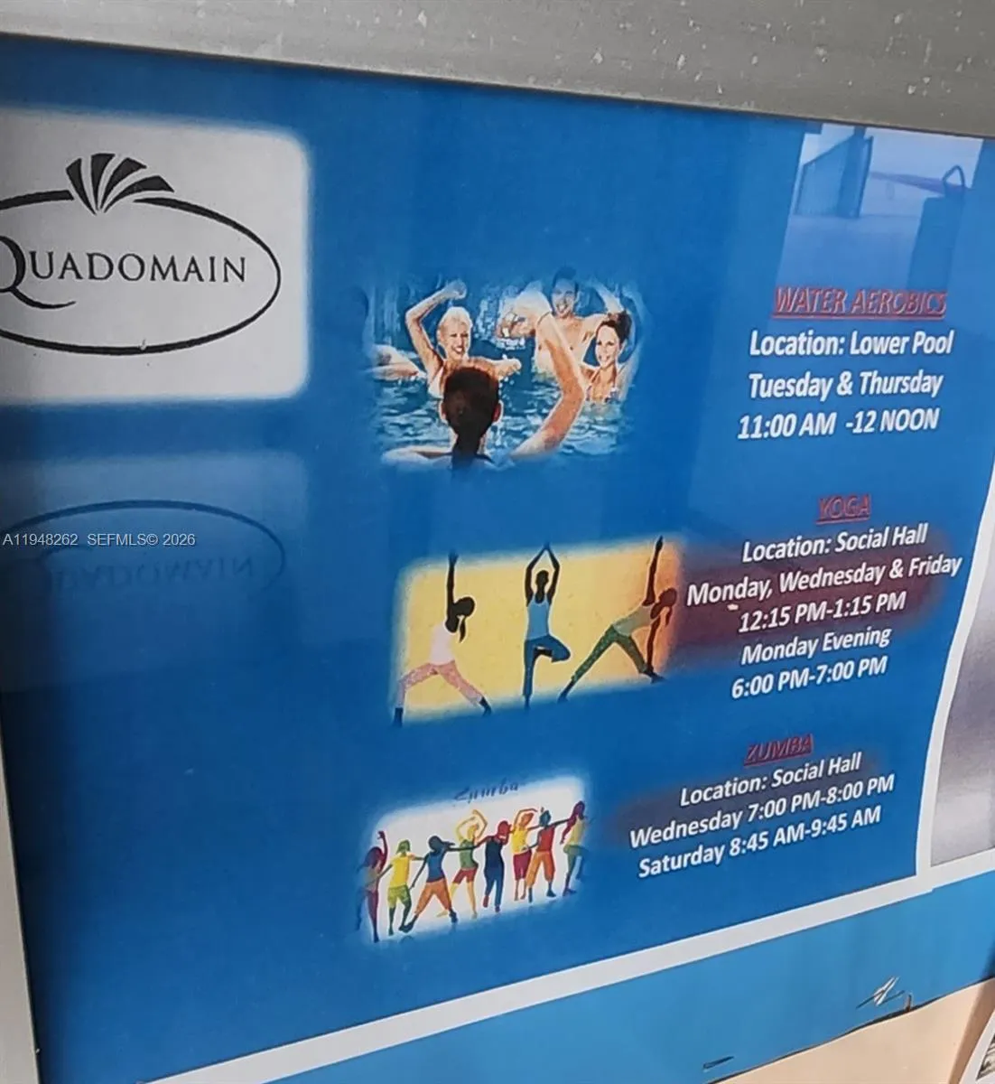zumba,bingo,kickboxing,dance,free weights,water aerobics yoga at the qaudomain.