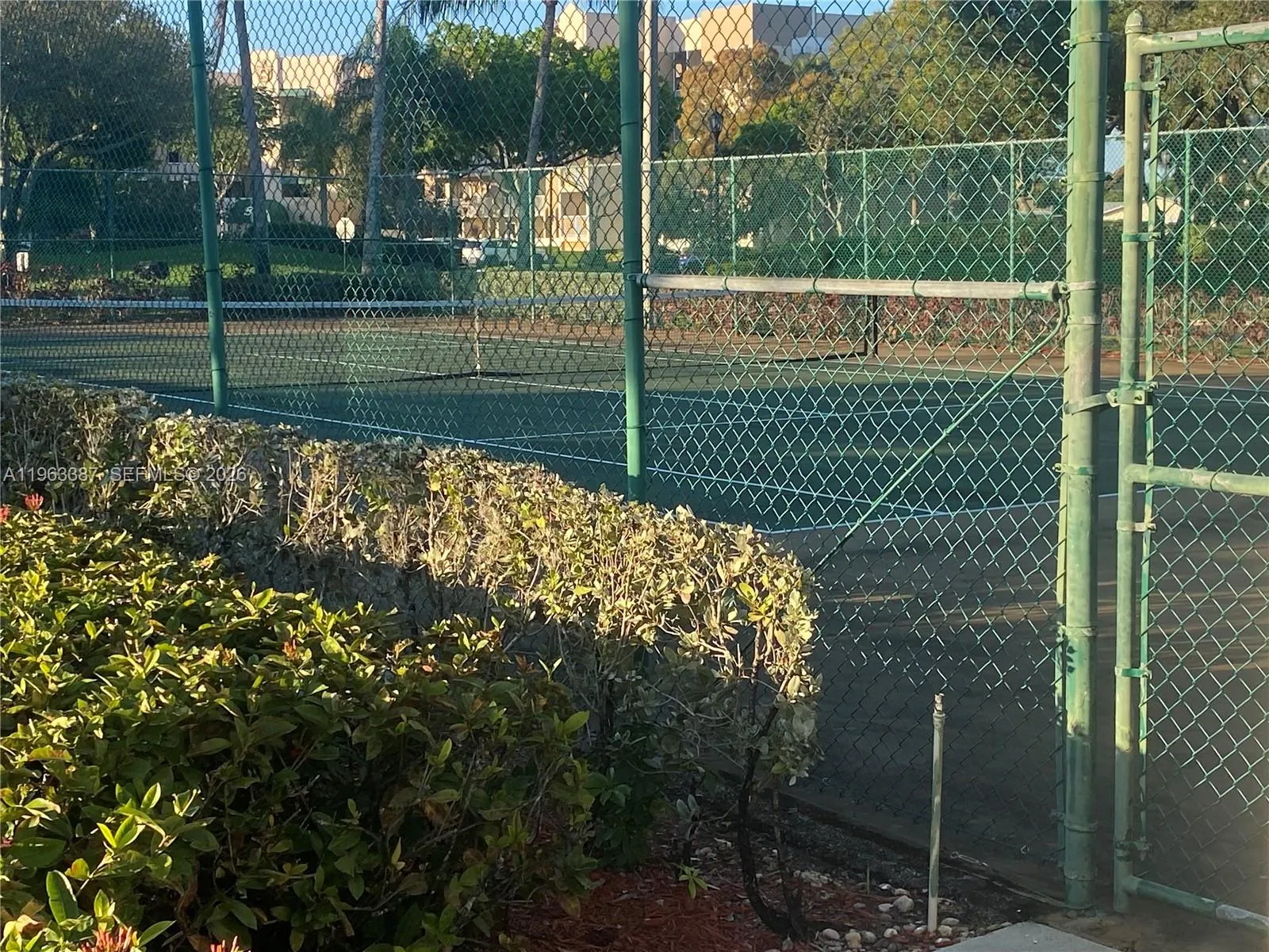 Tennis