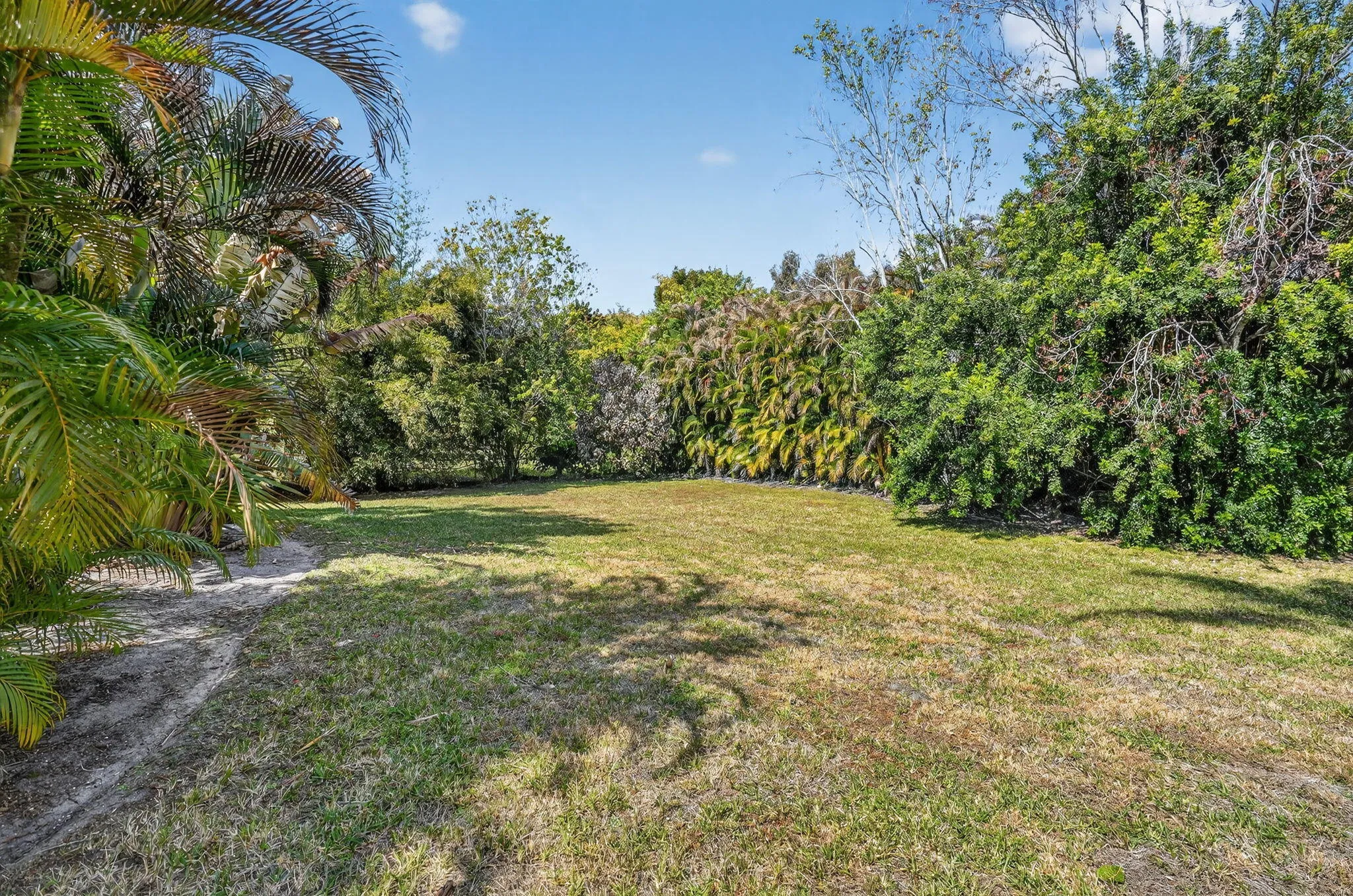 Expansive 1.15 Acre Backyard