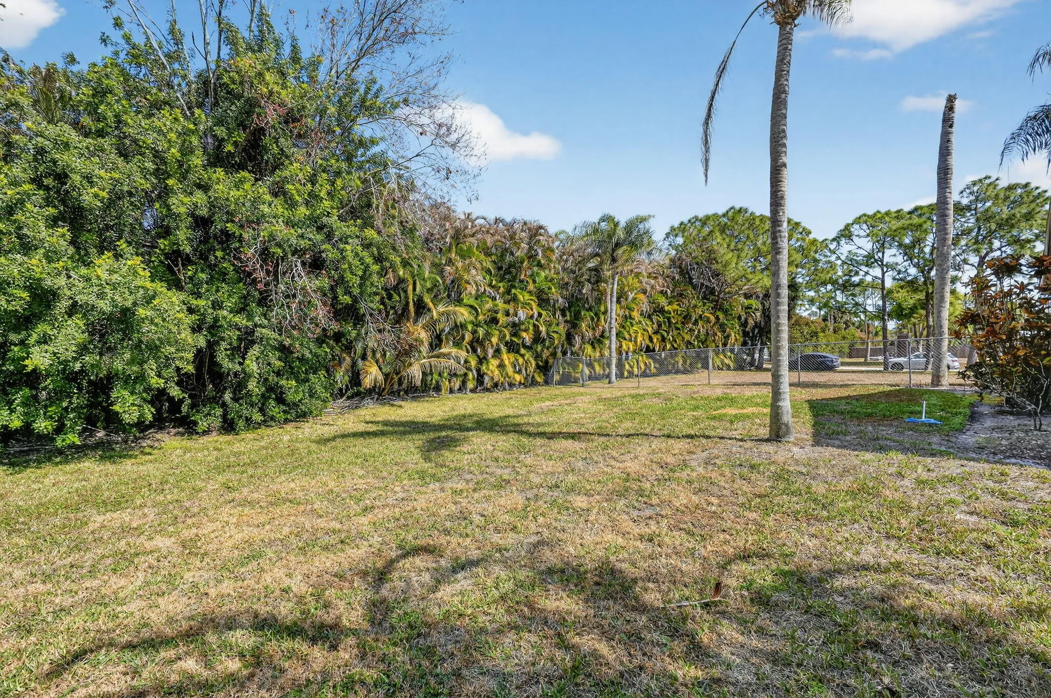Expansive 1.15 Acre Backyard