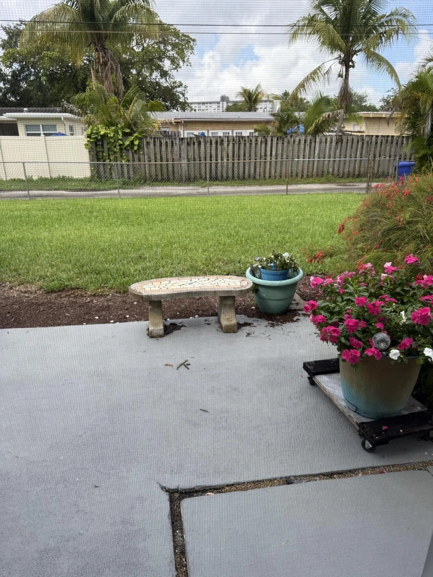 BACK YARD
