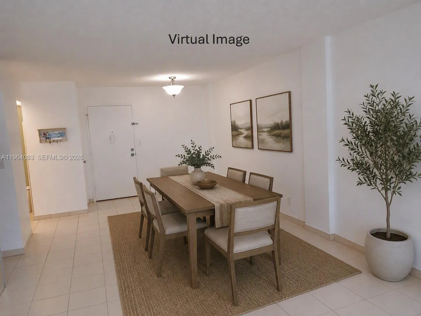 Virtual Image