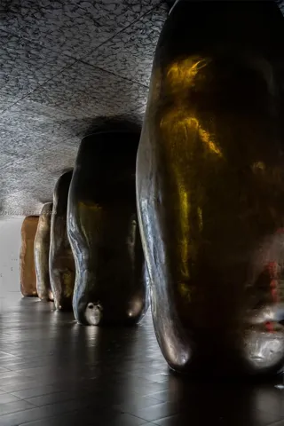 Photo 47