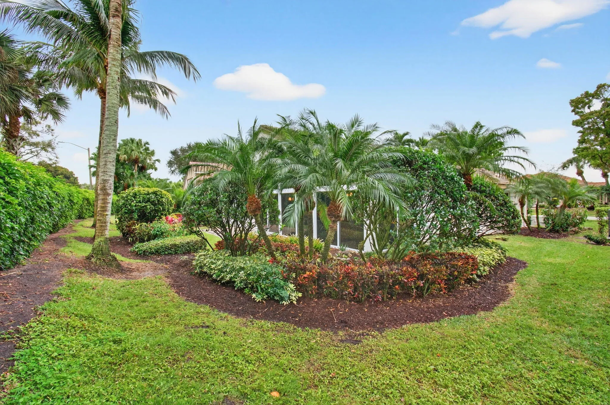 Freeform beds of palms