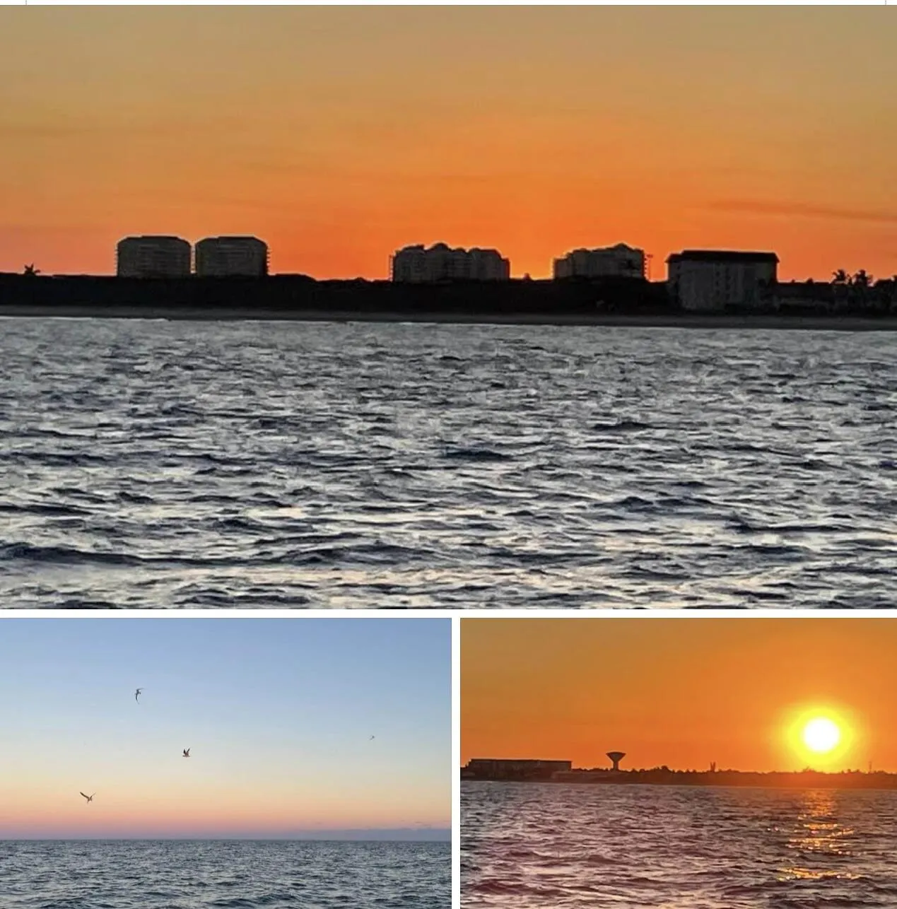 boynton view from the ocean