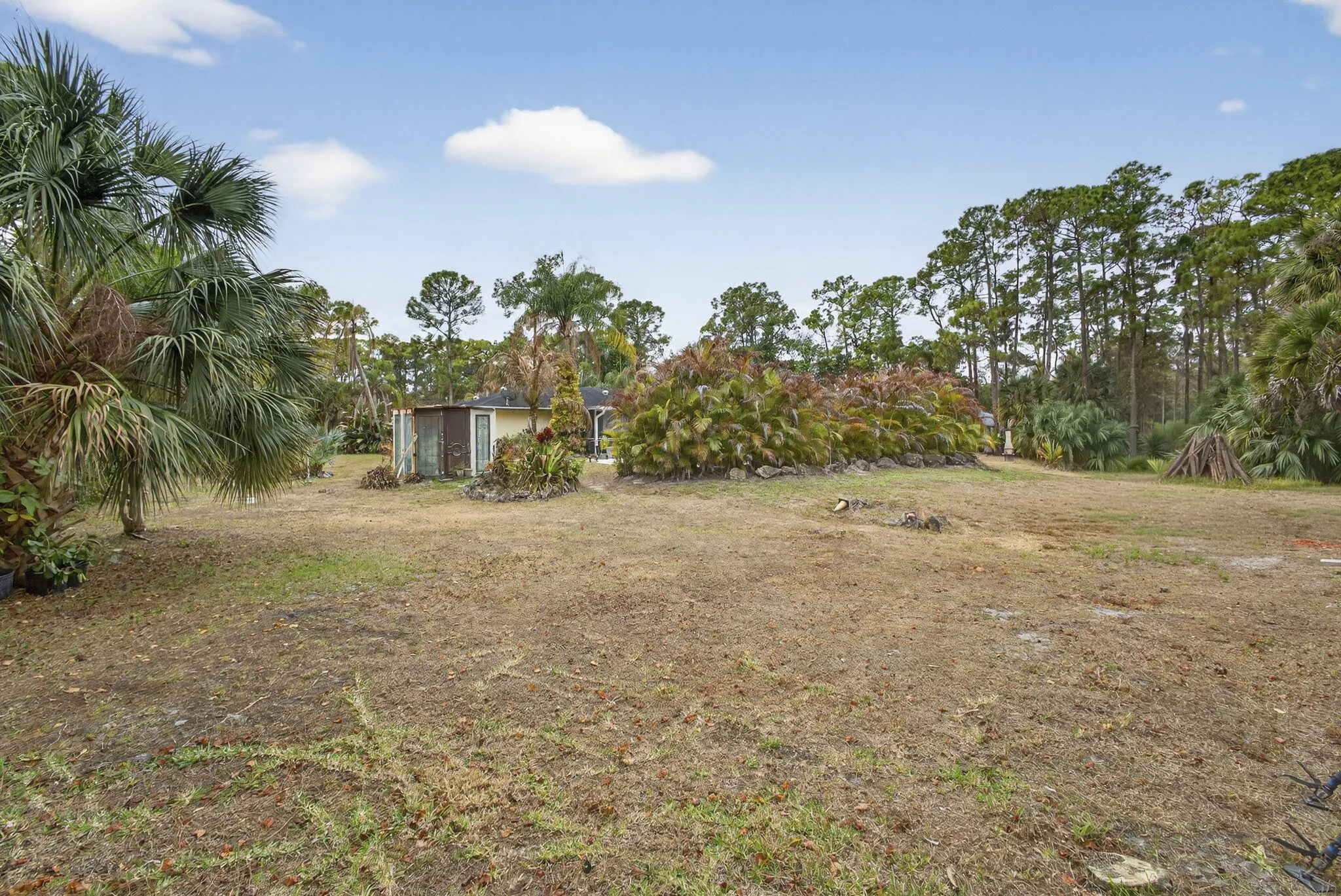 60-web-or-mls-BS1A2227