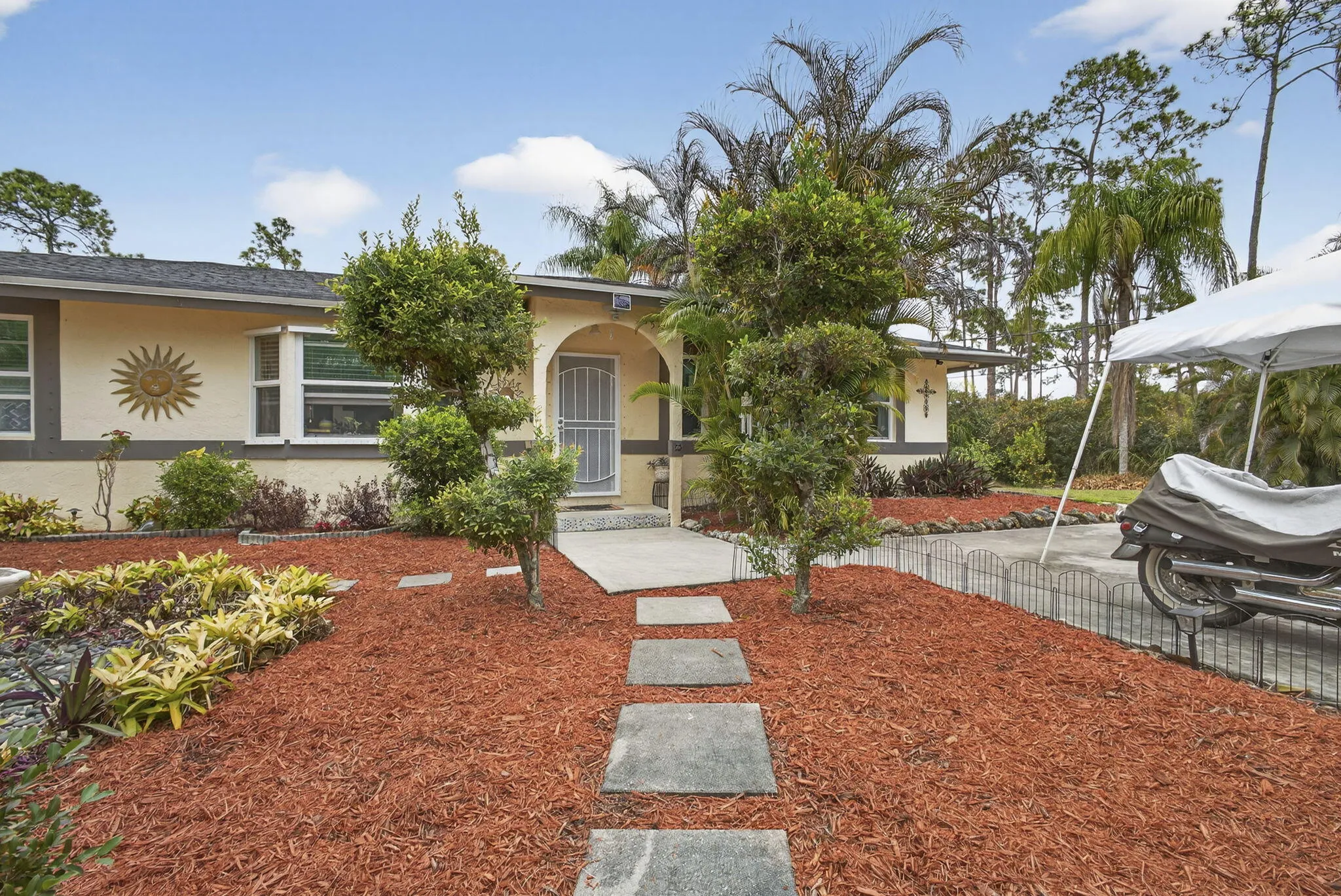 7-web-or-mls-BS1A2272