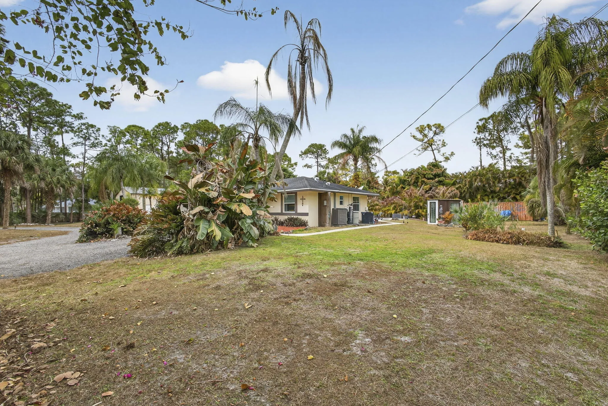 67-web-or-mls-BS1A2297