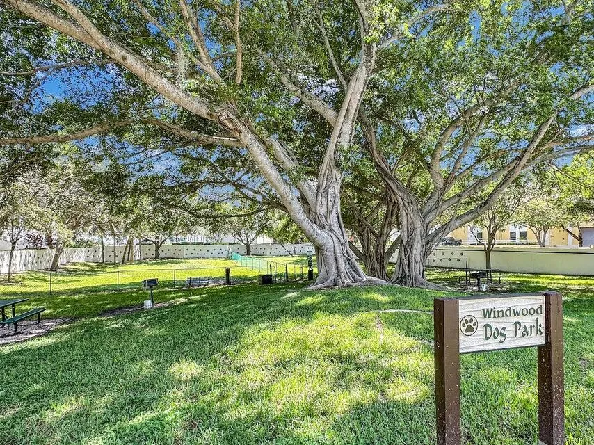 Dogpark - Copy