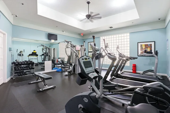 Newer Exercise Equipment and free weights