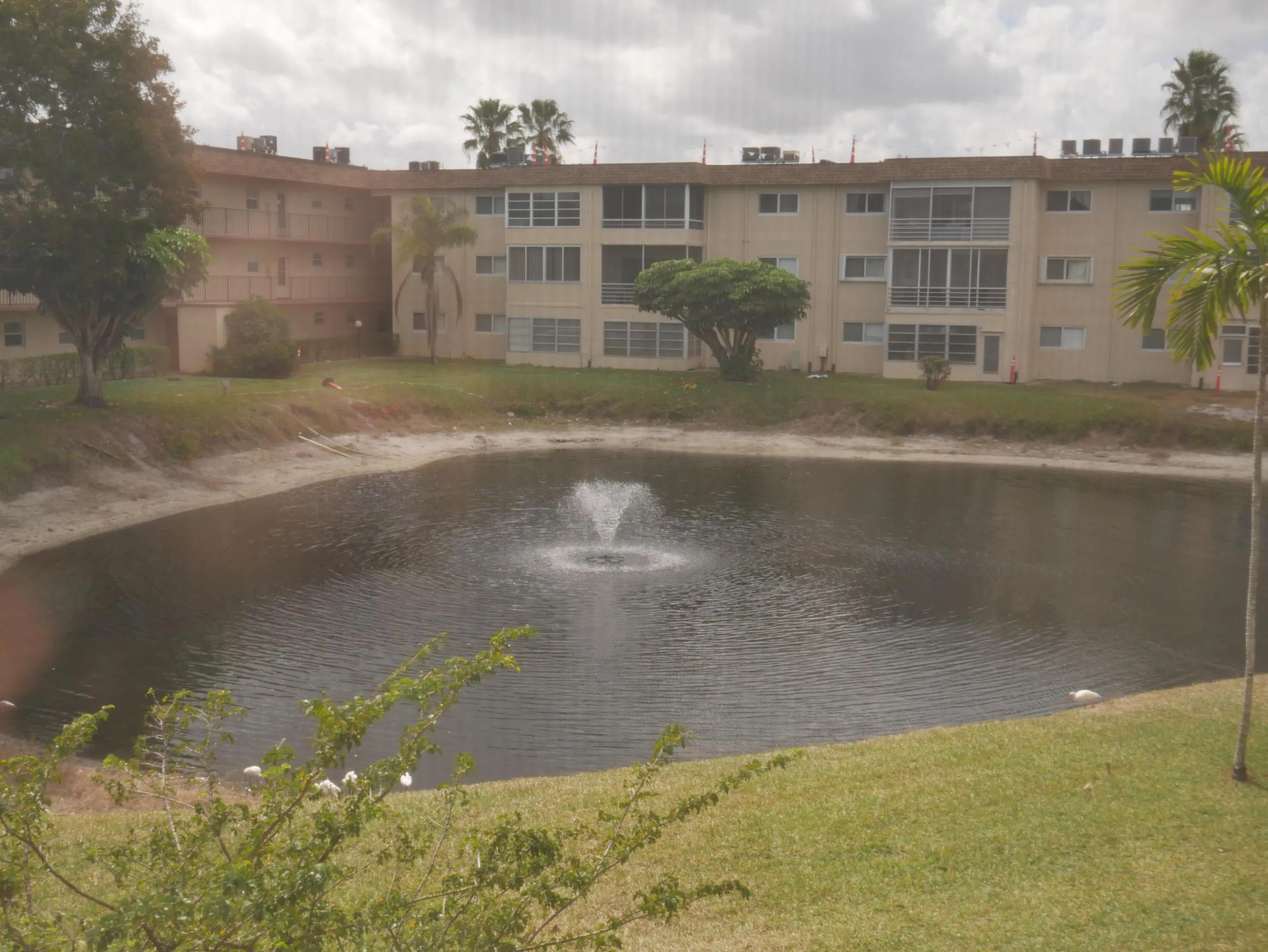 Lake view