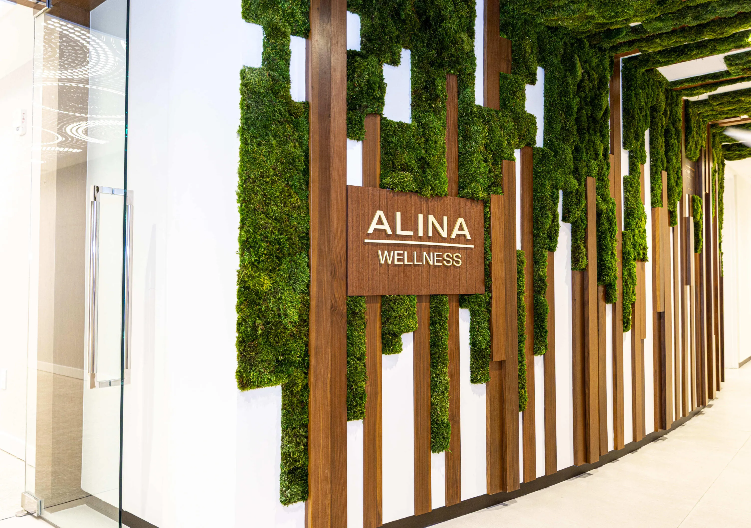 Alina 220 Spa Entrance