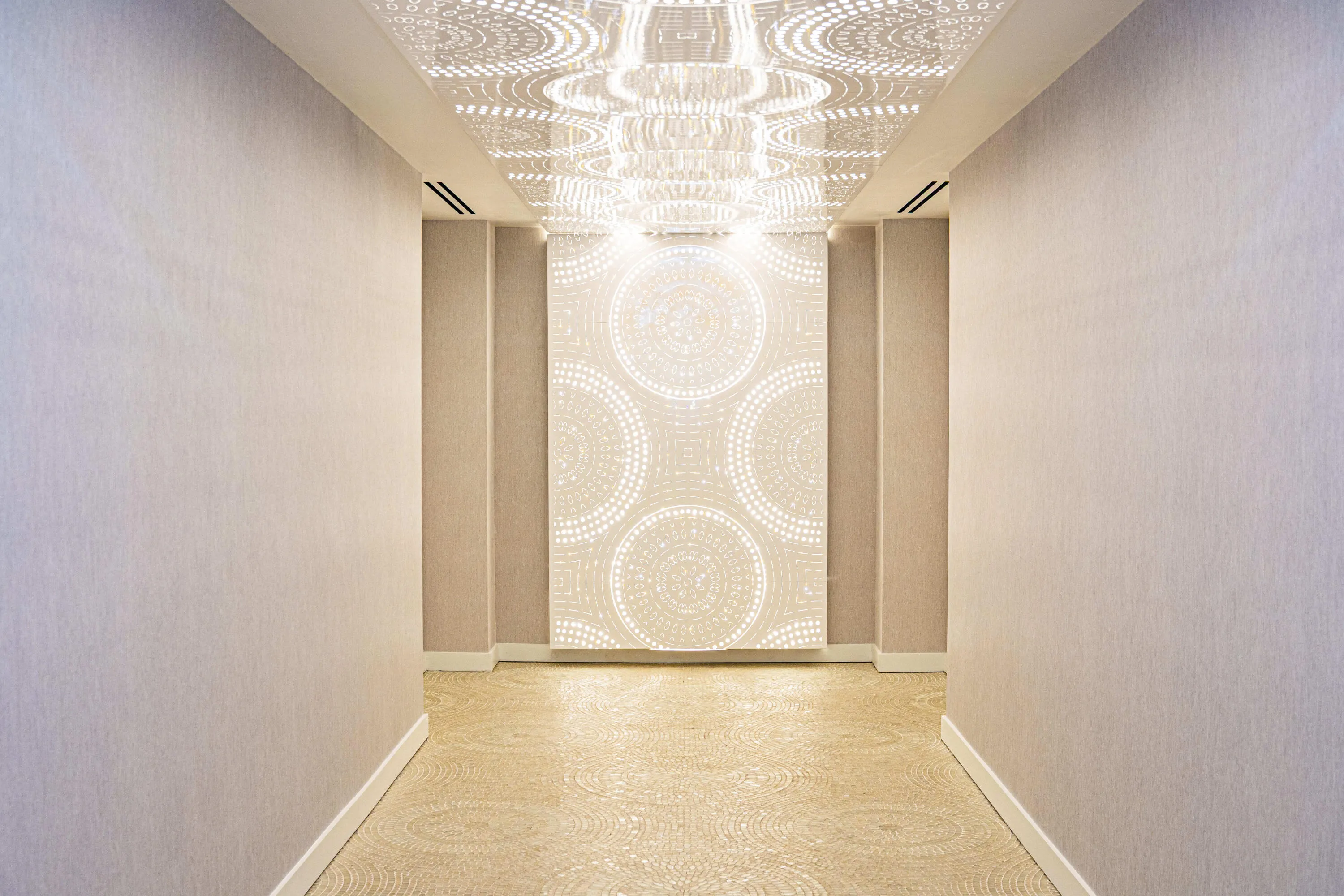 Alina 220 Spa Entrance (1)