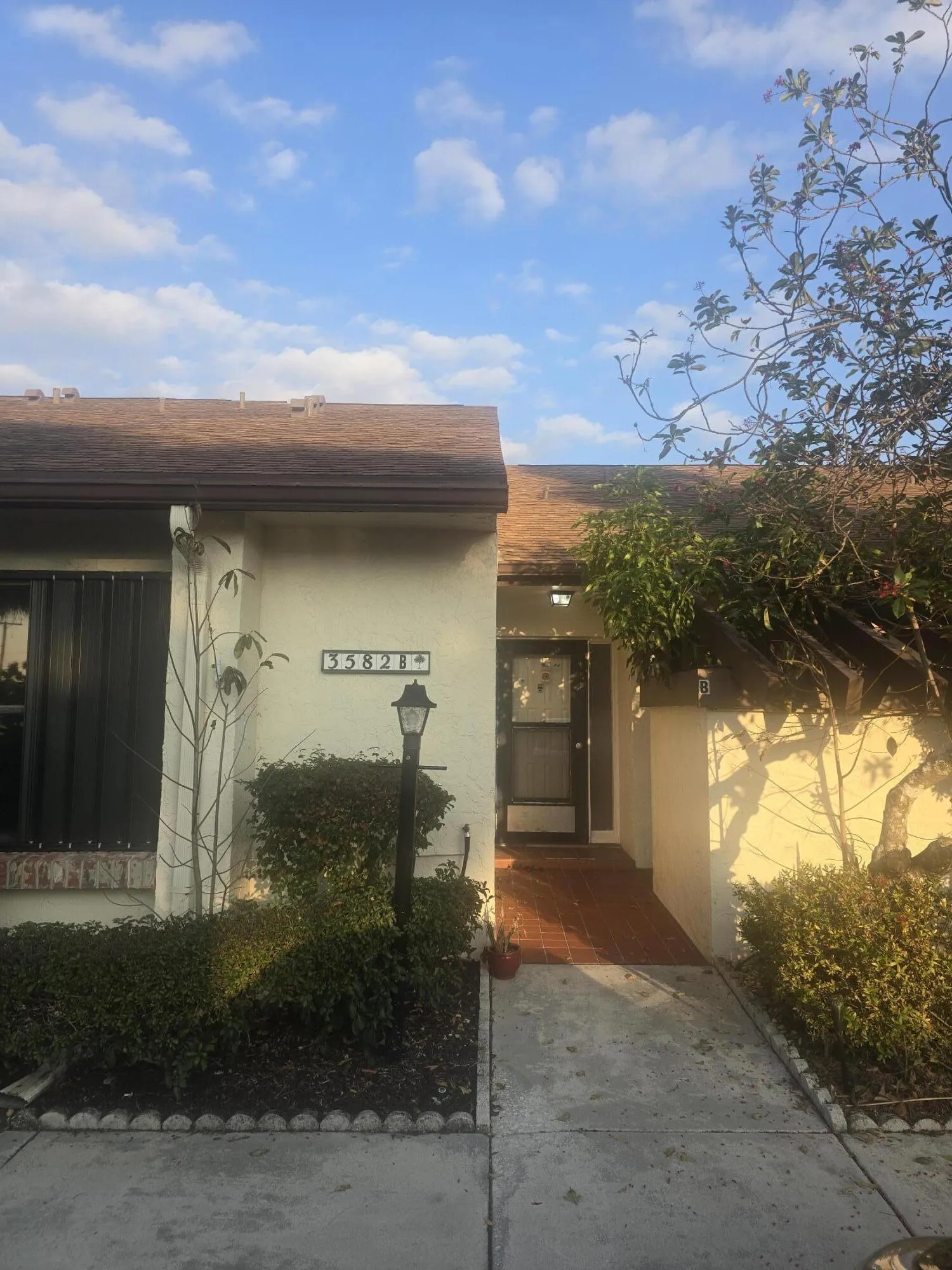 1000343926