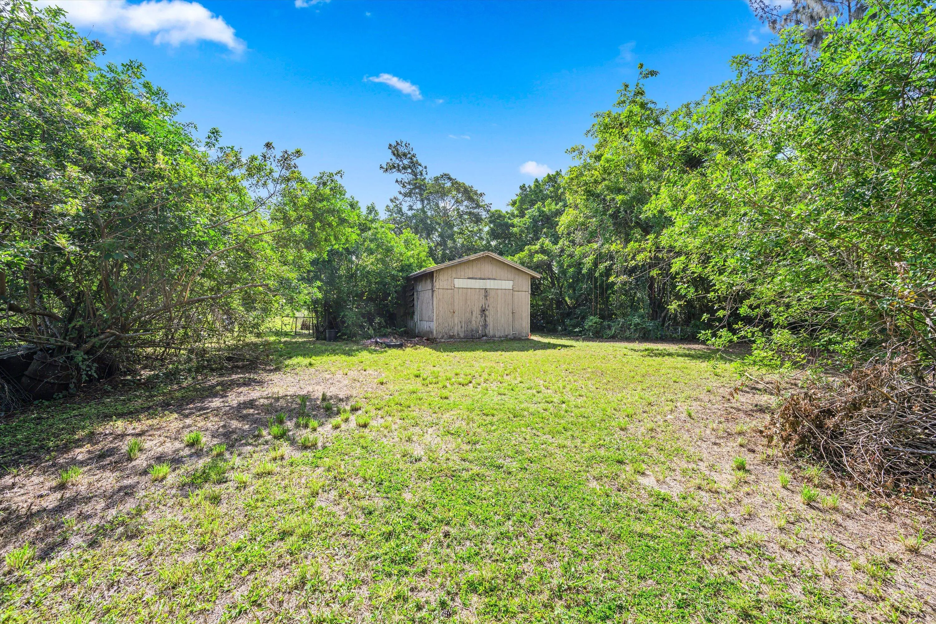 shed