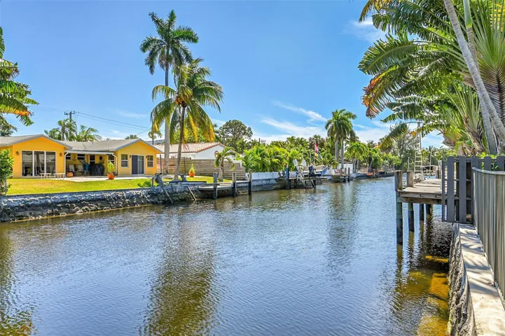 Enjoy jumping fish in Sandy Lane canal