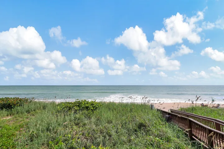31-web-or-mls-632A7294