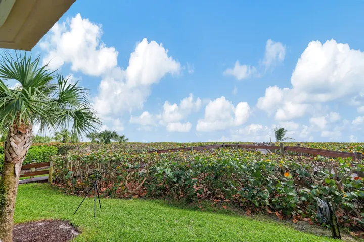 28-web-or-mls-632A7278