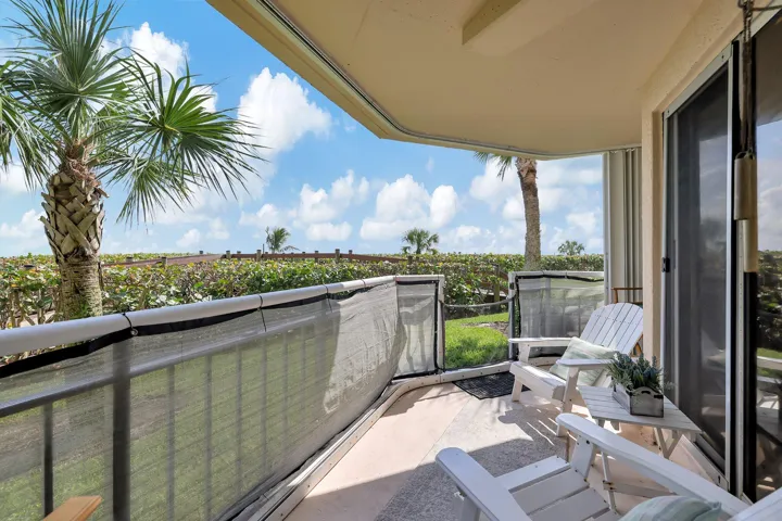 PATIO VIEW