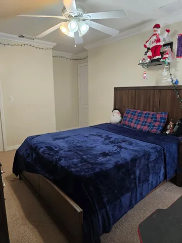 Bedroom2