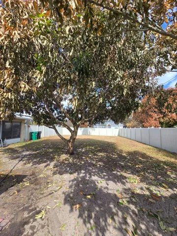 Patio2
