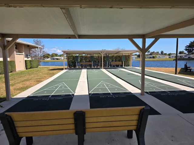 Shuffleboard