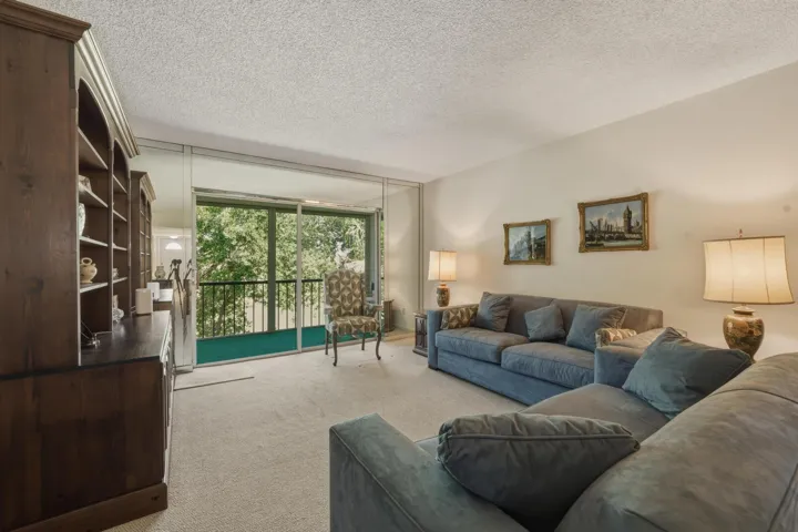 Living Room alone