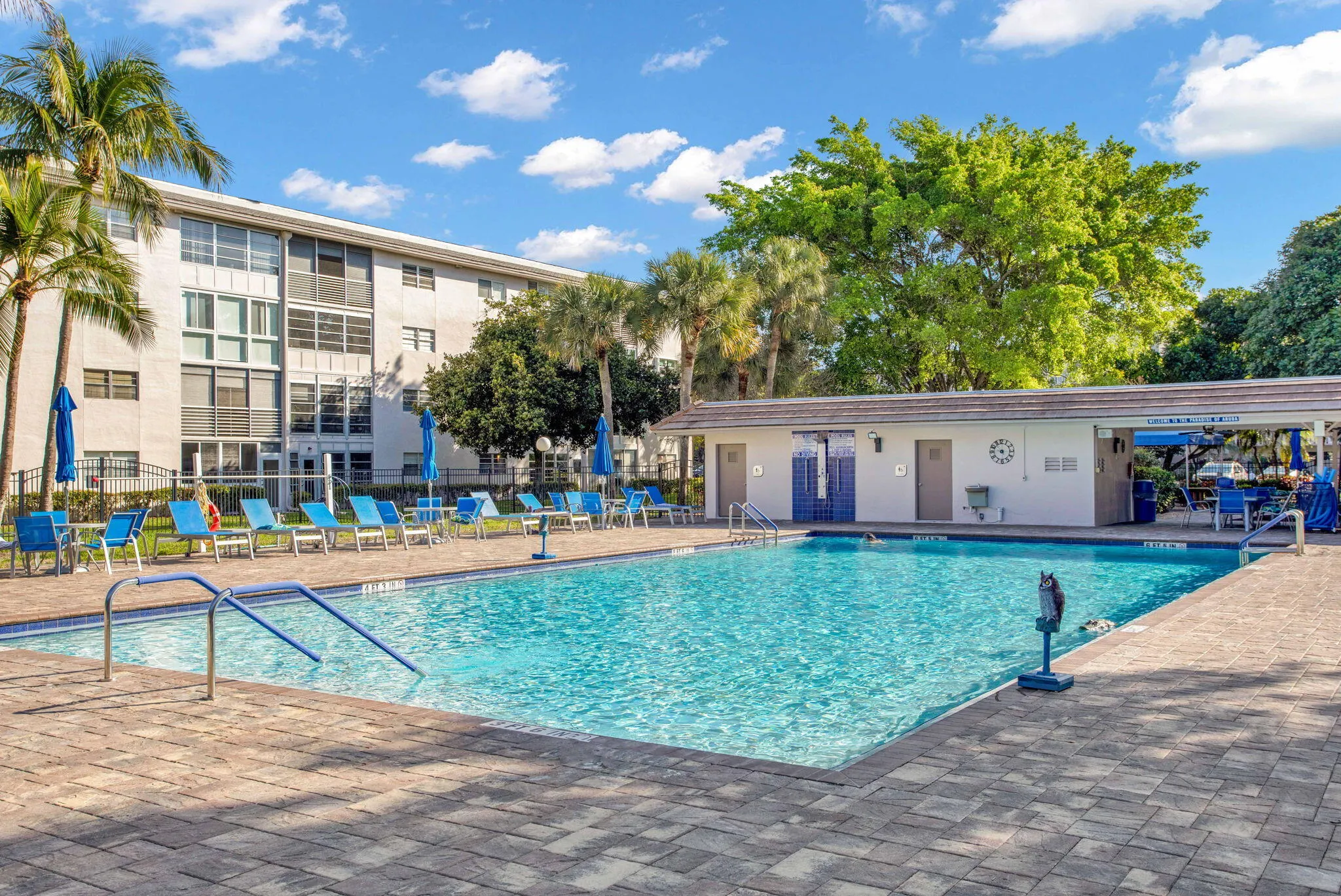 NEWER POOL