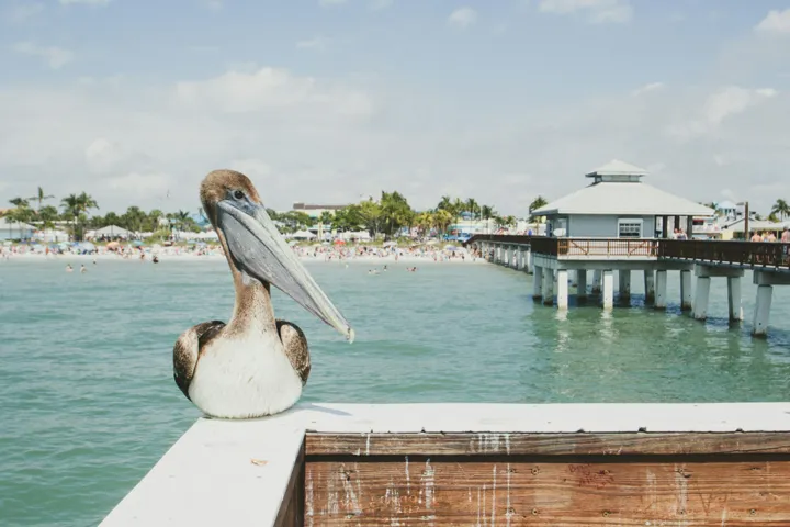 taryn-manning-7Fxkv4MFQqI-unsplash