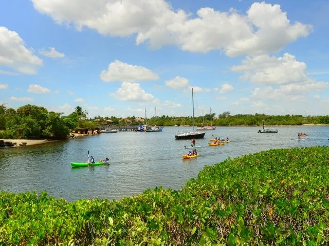 Property photo 50