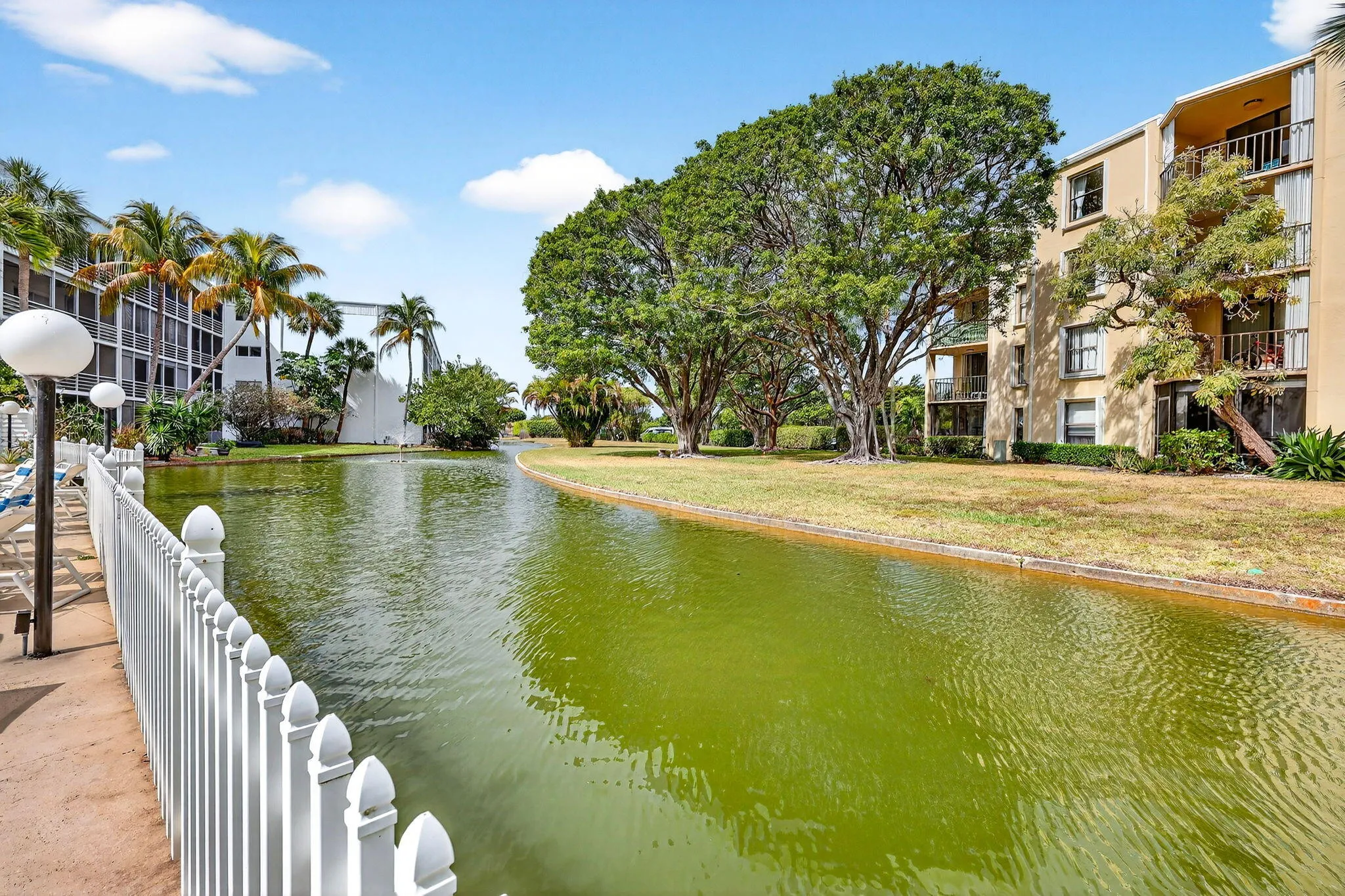42-web-or-mls-5P1A8091
