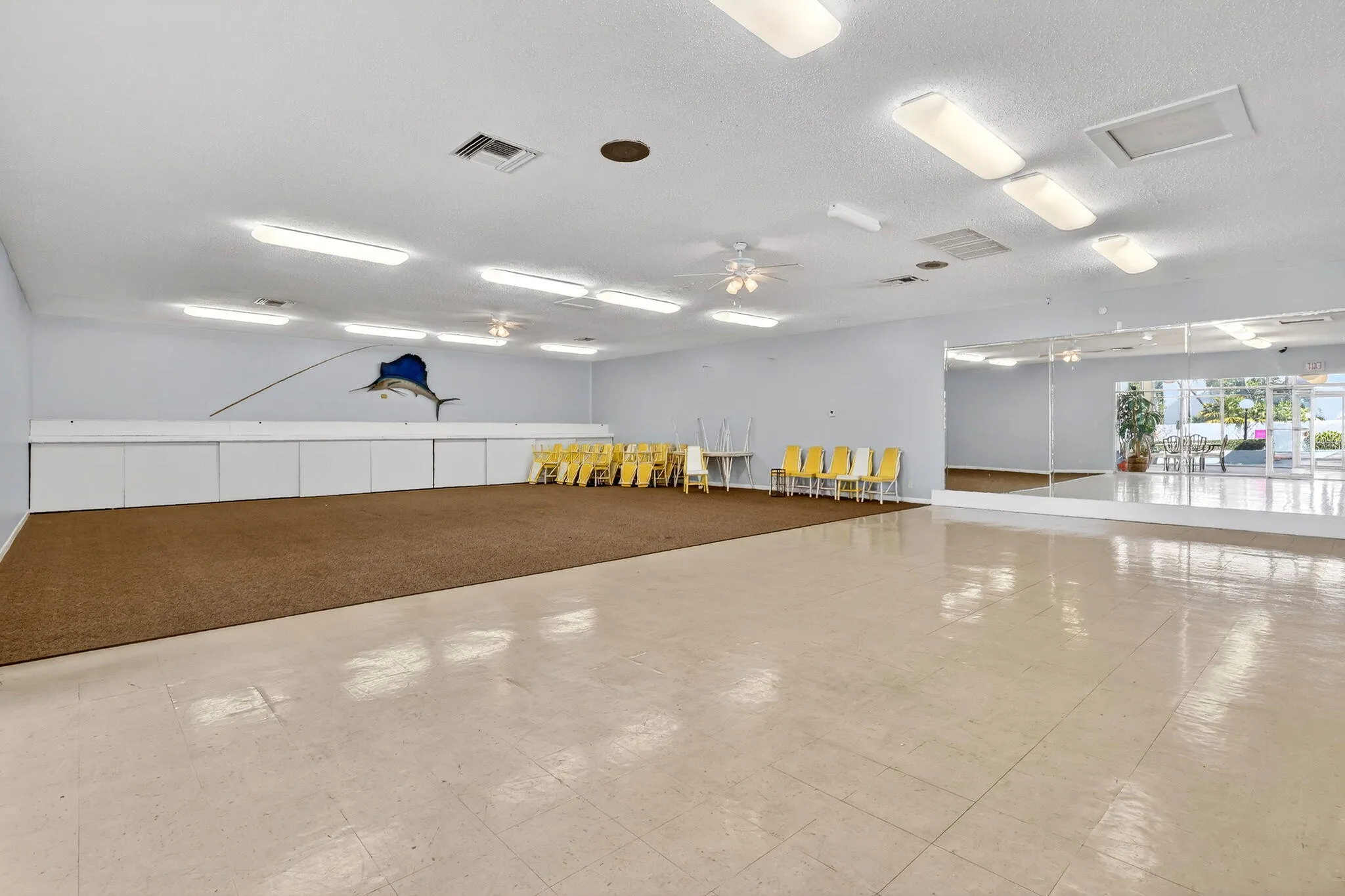45-web-or-mls-5P1A8107