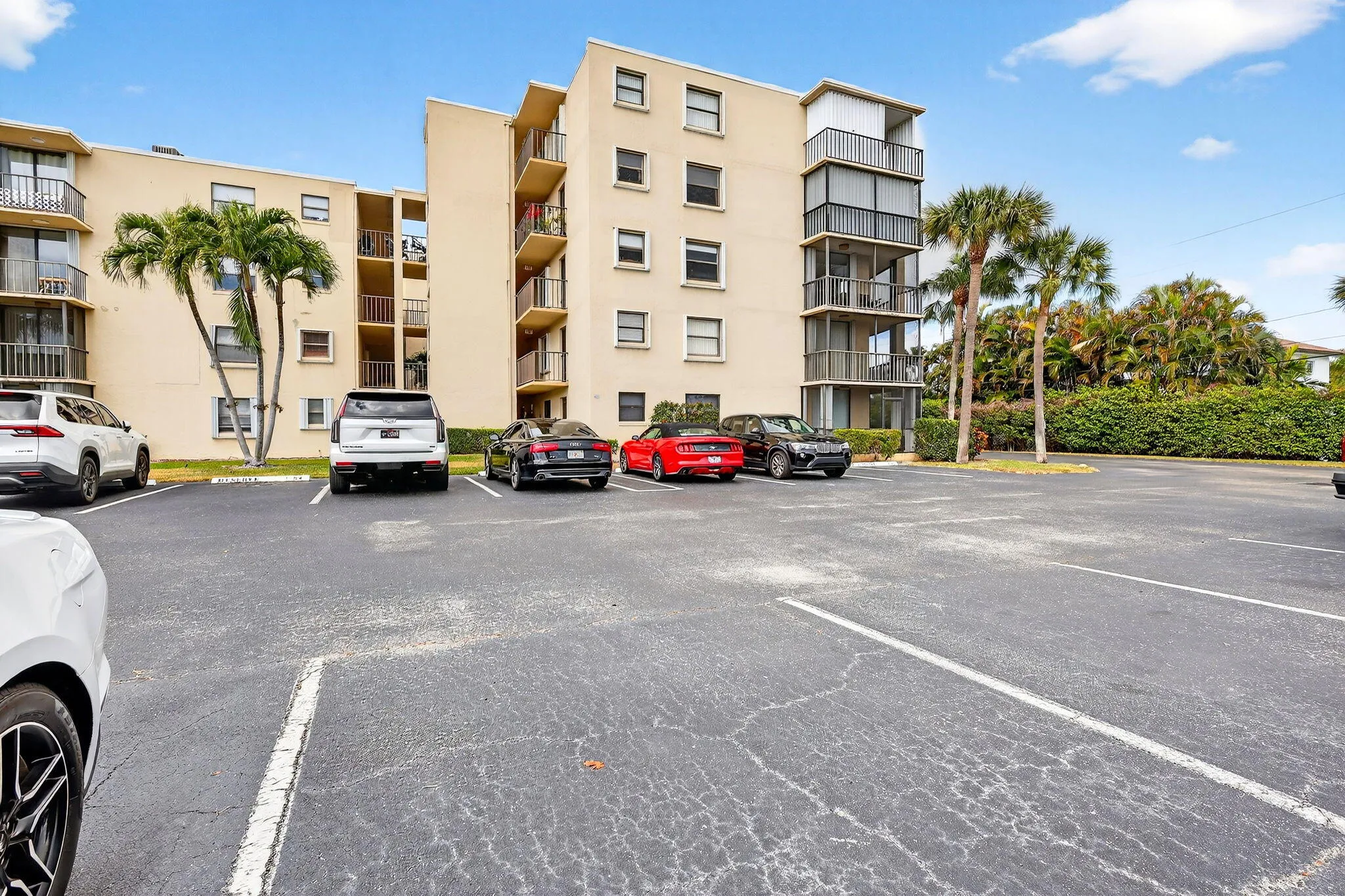 49-web-or-mls-5P1A8130