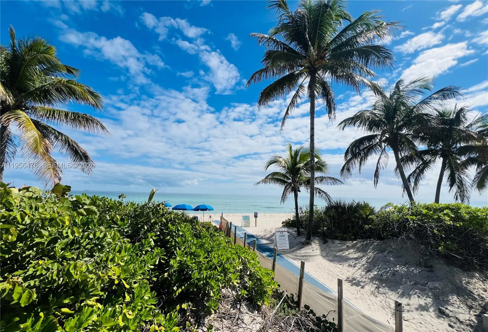 Photo 74