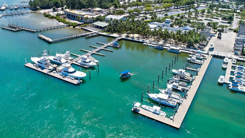 Local Area Highlights