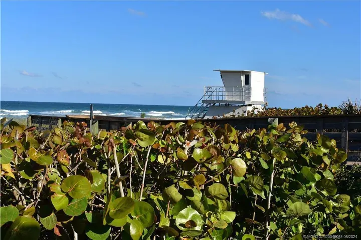 Life Guard at Hobe Sound​​‌​​​​‌​​‌‌​‌‌​​​‌‌​‌​‌​‌​​​‌​​ Beach