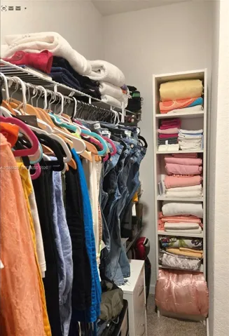 WALKING CLOSET