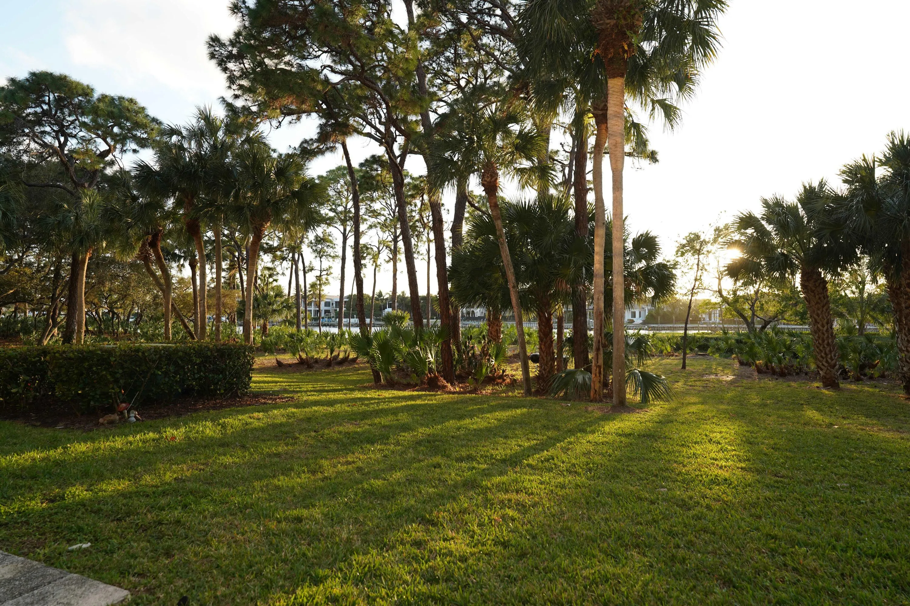 grounds behind unit