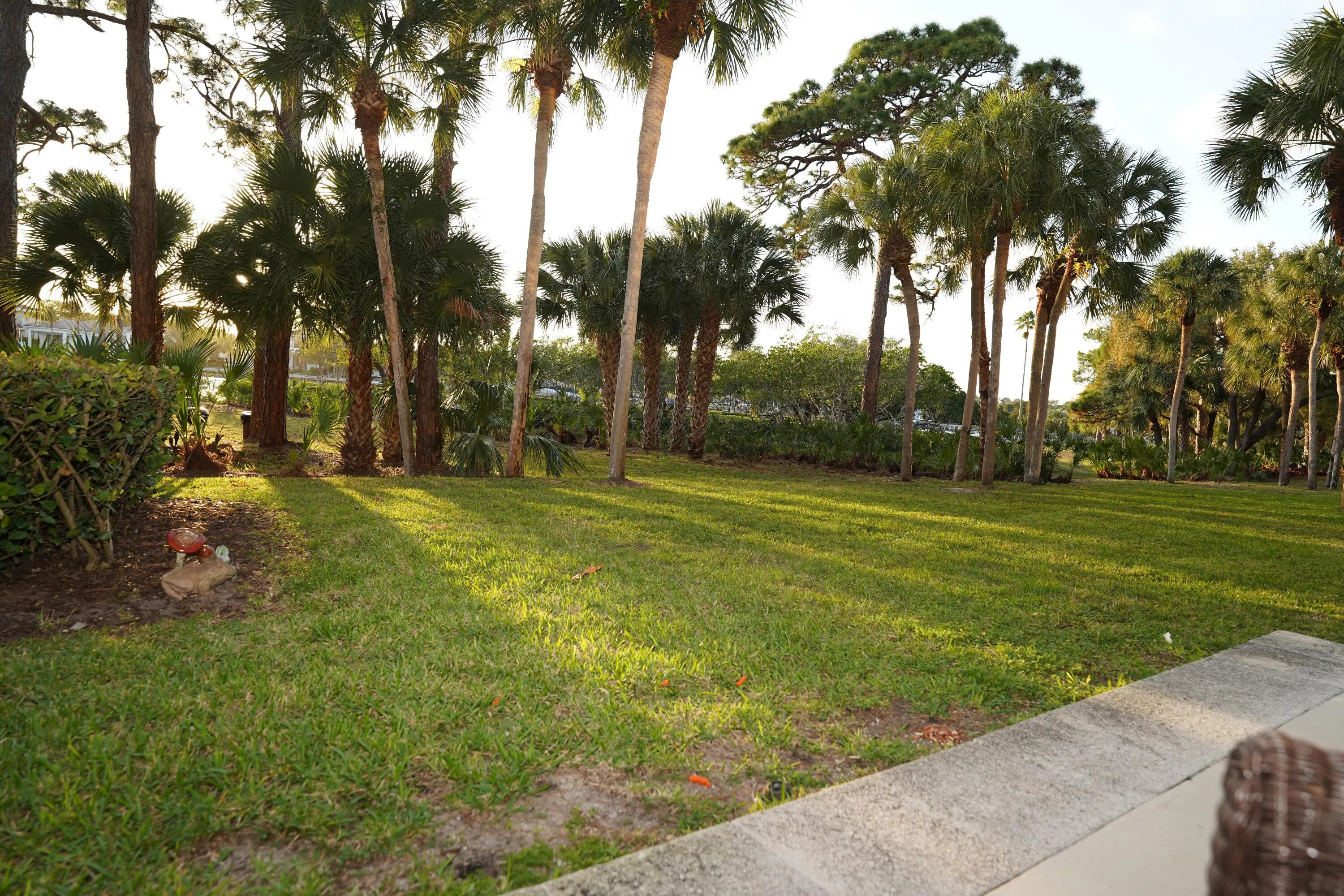 grounds behind unit 22