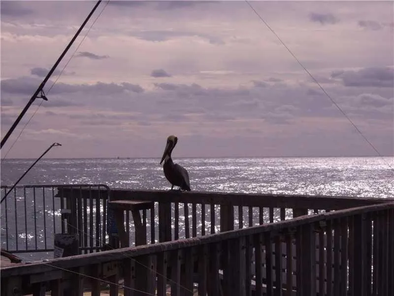Fishing Pier
