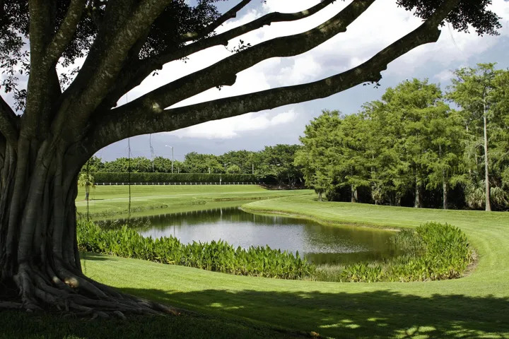 10 Florida's Natural Beauty