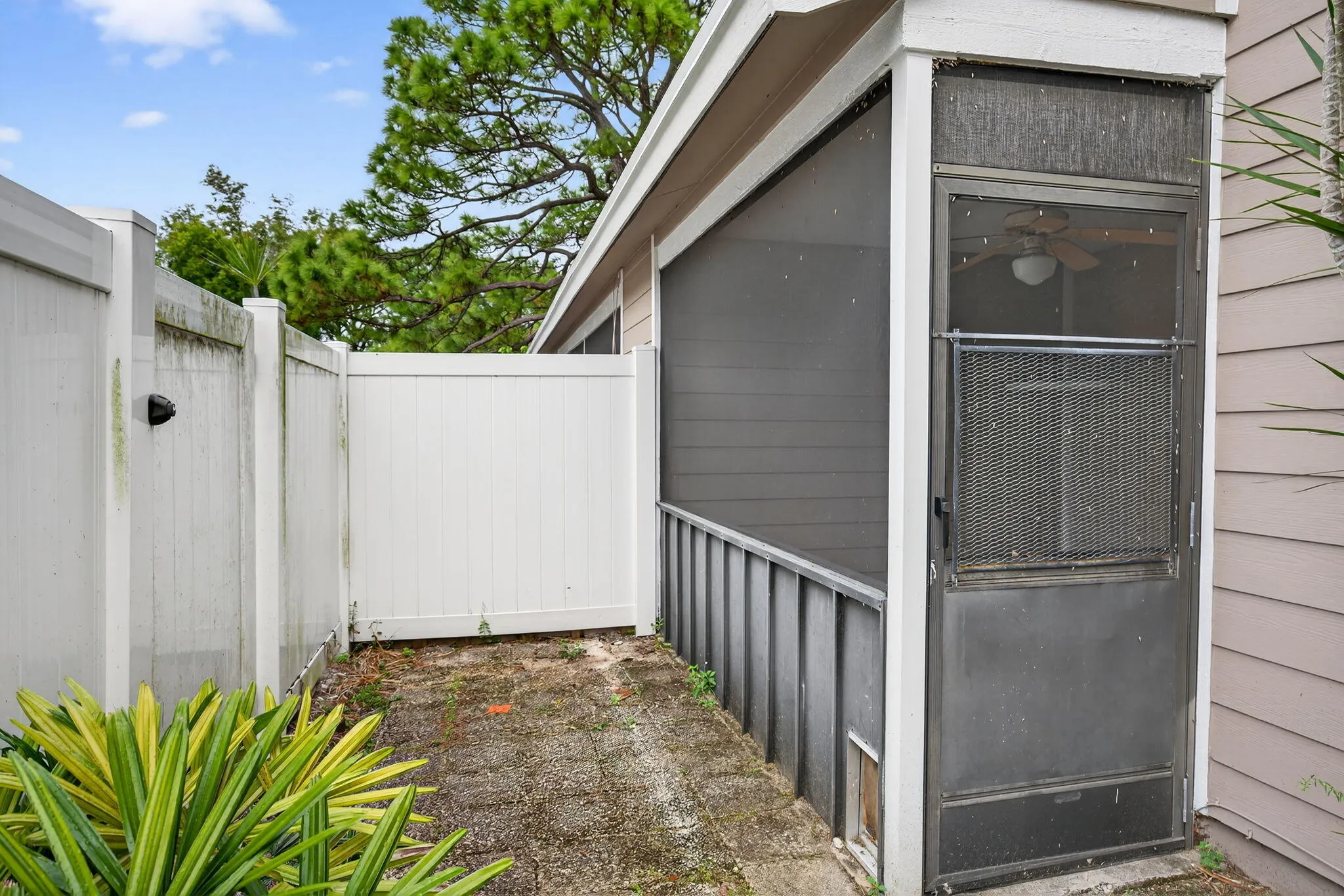 Property photo 24